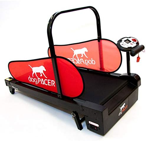 dogpacer minipacer dog treadmill