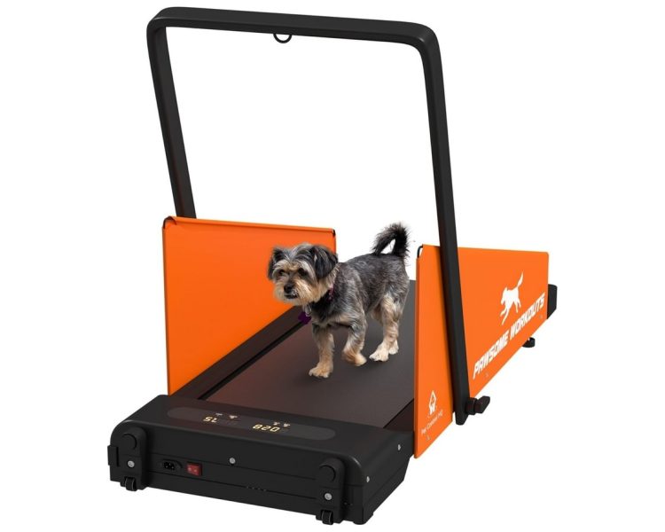 Dog Treadmills