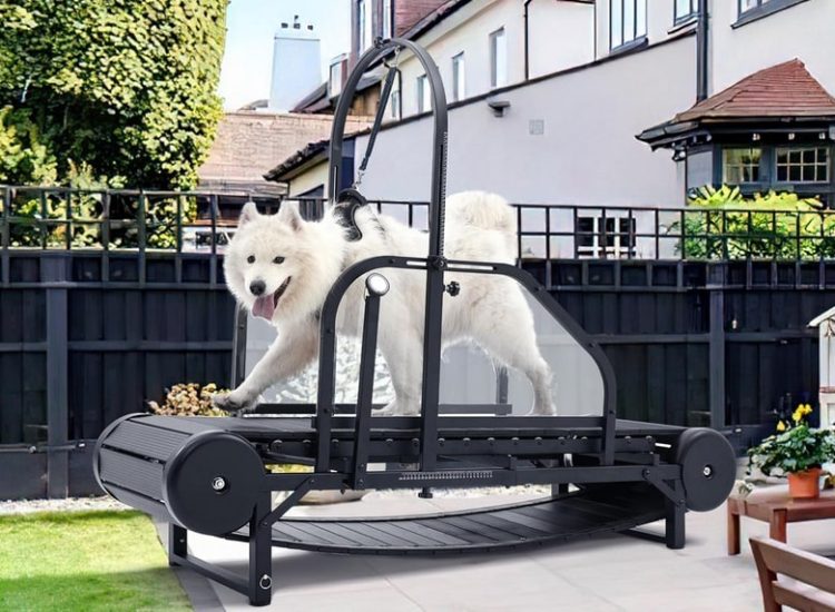 moysoon dog treadmill