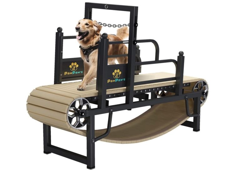 pawpaw dog treadmill