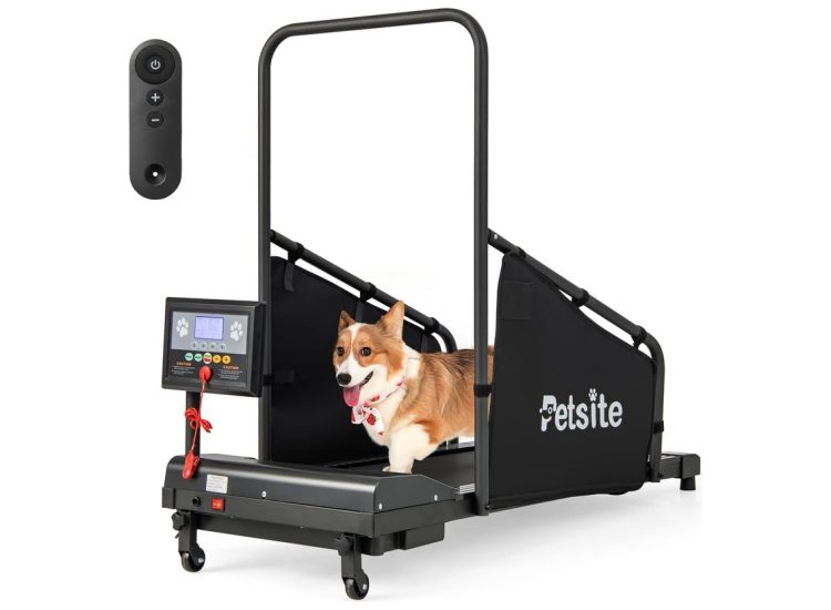 petsite dog treadmill